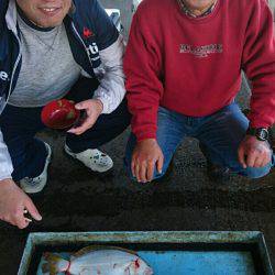 明神釣船 釣果