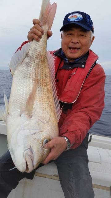 飛燕さくら丸 釣果