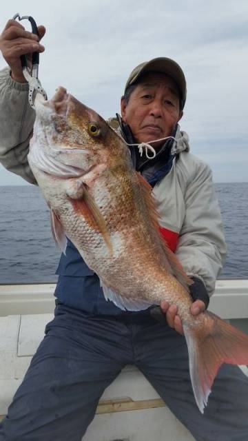 飛燕さくら丸 釣果