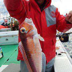 第三むつりょう丸 釣果