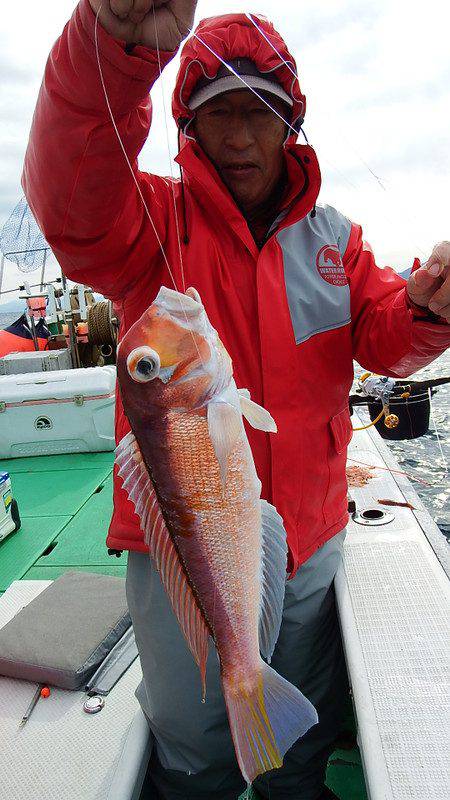 第三むつりょう丸 釣果