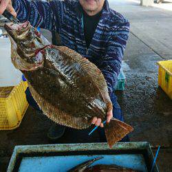 明神釣船 釣果