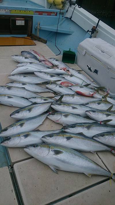 旭星釣りセンター 釣果