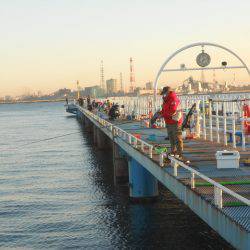 オリジナルメーカー海づり公園(市原市海づり施設) 釣果