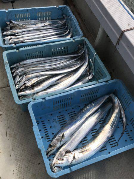 釣り船角田 釣果