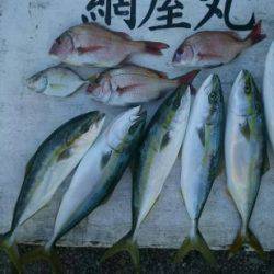 網屋丸 釣果