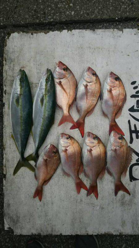 網屋丸 釣果