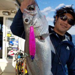 遊漁船　ニライカナイ 釣果