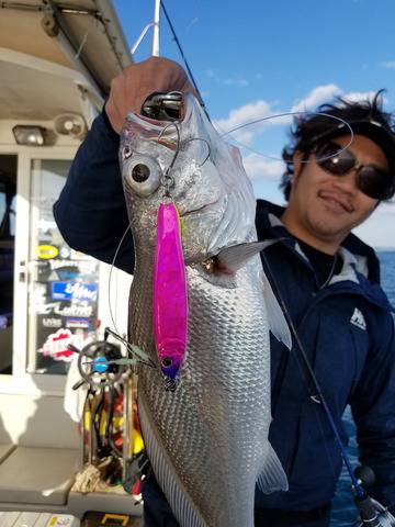 遊漁船　ニライカナイ 釣果