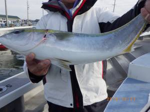 石川丸 釣果