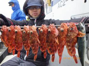 石川丸 釣果