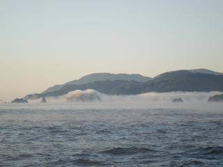 開進丸 釣果