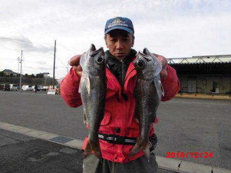 まとばや 釣果