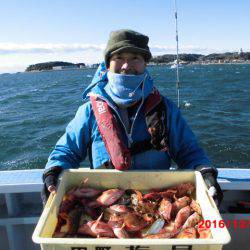 まとばや 釣果