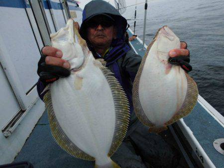 大進丸（愛知） 釣果