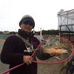 浜名湖フィッシングリゾート 釣果