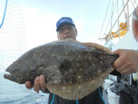 大進丸（愛知） 釣果