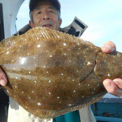 大進丸（愛知） 釣果