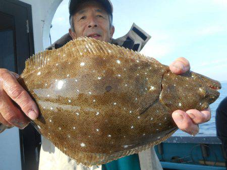 大進丸（愛知） 釣果