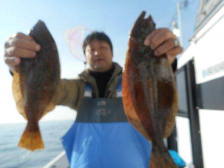 大進丸（愛知） 釣果