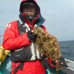 大進丸（愛知） 釣果