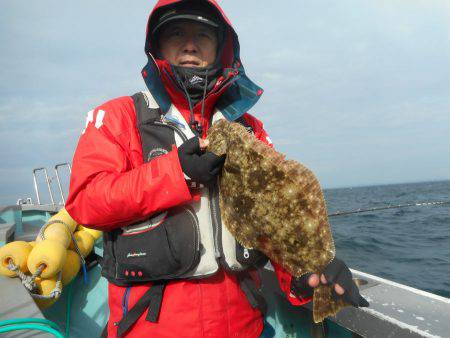 大進丸（愛知） 釣果