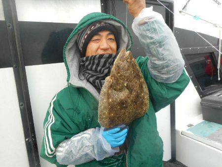 大進丸（愛知） 釣果