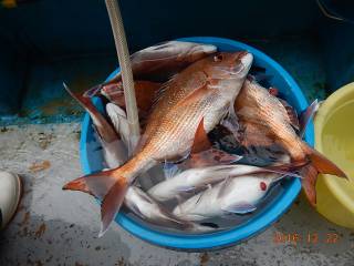 作十丸 釣果