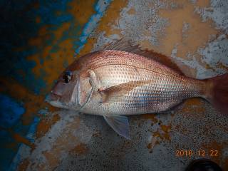 作十丸 釣果