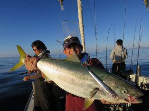 ブルーズ 釣果