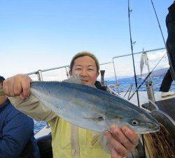 ブルーズ 釣果