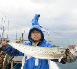 ブルーズ 釣果