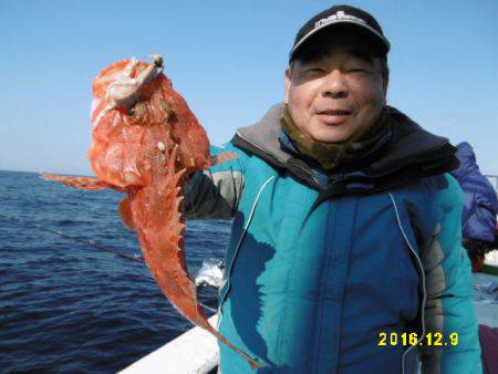 まとばや 釣果