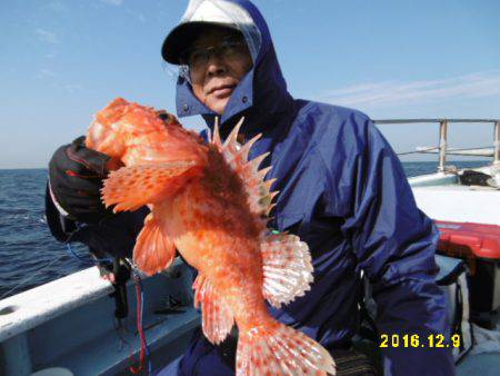 まとばや 釣果