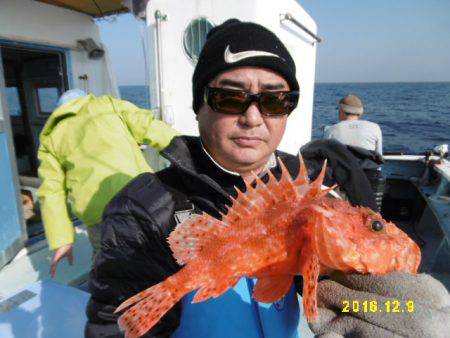 まとばや 釣果