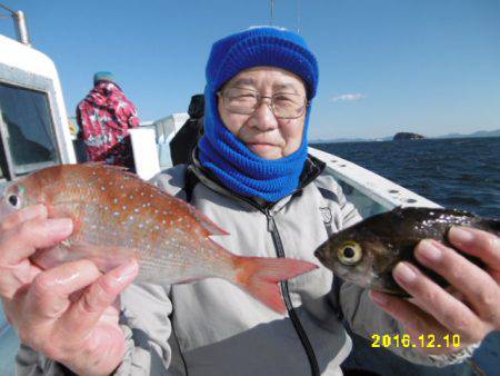 まとばや 釣果