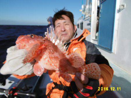 まとばや 釣果