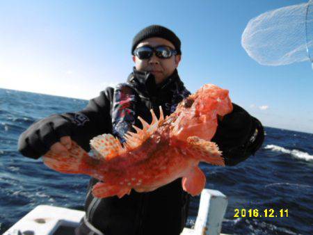 まとばや 釣果