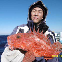 まとばや 釣果