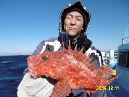 まとばや 釣果