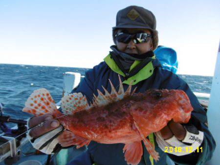 まとばや 釣果