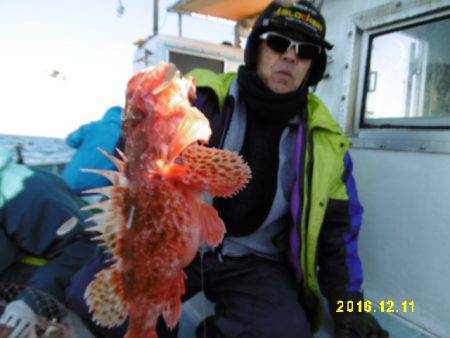 まとばや 釣果