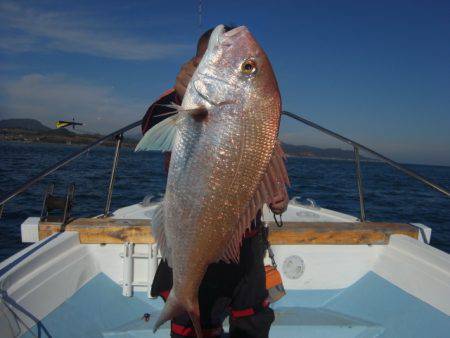 北斗 釣果