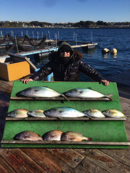 みうら海王 釣果