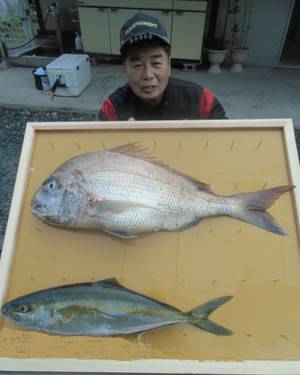 新留渡船 釣果