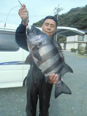 新留渡船 釣果