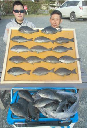 新留渡船 釣果