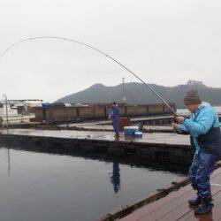 淡路じゃのひれフィッシングパーク 釣果