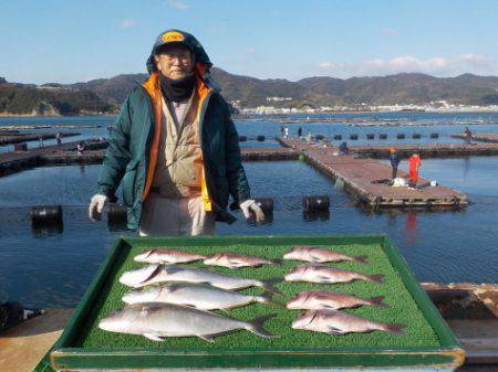 淡路じゃのひれフィッシングパーク 釣果