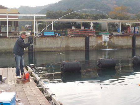 淡路じゃのひれフィッシングパーク 釣果